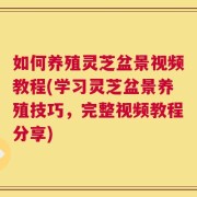 如何养殖灵芝盆景视频教程(学习灵芝盆景养殖技巧，完整视频教程分享)
