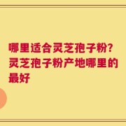 哪里适合灵芝孢子粉？灵芝孢子粉产地哪里的最好