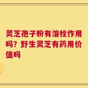 灵芝孢子粉有溶栓作用吗？野生灵芝有药用价值吗