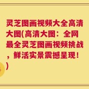 灵芝图画视频大全高清大图(高清大图：全网最全灵芝图画视频挑战，鲜活实景震撼呈现！)