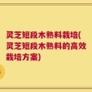 灵芝短段木熟料栽培(灵芝短段木熟料的高效栽培方案)