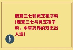 鹿茸三七和灵芝孢子粉(鹿茸三七与灵芝孢子粉，中草药界的双杰出人选)