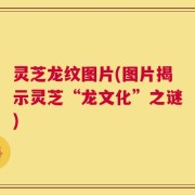 灵芝龙纹图片(图片揭示灵芝“龙文化”之谜)