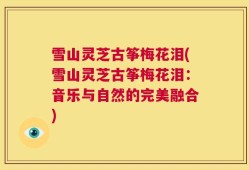 雪山灵芝古筝梅花泪(雪山灵芝古筝梅花泪：音乐与自然的完美融合)