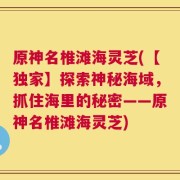 原神名椎滩海灵芝(【独家】探索神秘海域，抓住海里的秘密——原神名椎滩海灵芝)