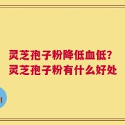 灵芝孢子粉降低血低？灵芝孢子粉有什么好处