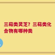 三萜类灵芝？三萜类化合物有哪种类