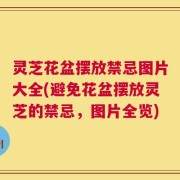 灵芝花盆摆放禁忌图片大全(避免花盆摆放灵芝的禁忌，图片全览)