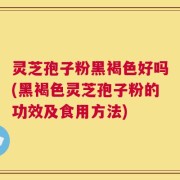 灵芝孢子粉黑褐色好吗(黑褐色灵芝孢子粉的功效及食用方法)