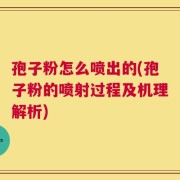孢子粉怎么喷出的(孢子粉的喷射过程及机理解析)