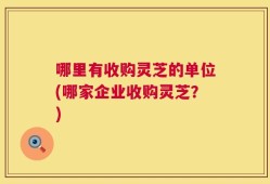 哪里有收购灵芝的单位(哪家企业收购灵芝？)