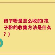 孢子粉是怎么收的(孢子粉的收集方法是什么？)