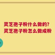 灵芝孢子粉什么做的？灵芝孢子粉怎么做成粉