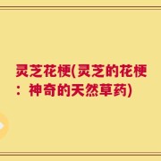 灵芝花梗(灵芝的花梗：神奇的天然草药)