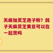 天麻加灵芝孢子粉？鸽子天麻灵芝黄豆可以在一起煲吗
