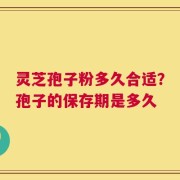 灵芝孢子粉多久合适？孢子的保存期是多久