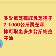 多少灵芝提取灵芝孢子？1000公斤灵芝萃体可取出多少公斤纯孢子油