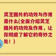 灵芝图片的功效与作用是什么(全面介绍灵芝图片的功效及作用，让你彻底了解它的奇妙之处！)