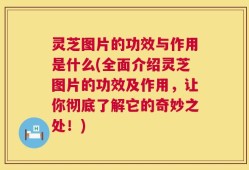 灵芝图片的功效与作用是什么(全面介绍灵芝图片的功效及作用，让你彻底了解它的奇妙之处！)