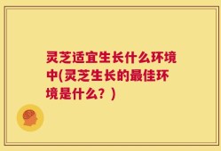 灵芝适宜生长什么环境中(灵芝生长的最佳环境是什么？)