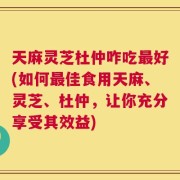 天麻灵芝杜仲咋吃最好(如何最佳食用天麻、灵芝、杜仲，让你充分享受其效益)