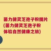 菌力健灵芝孢子粉图片(菌力健灵芝孢子粉 体验自然健康之旅)