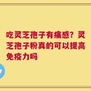 吃灵芝孢子有痛感？灵芝孢子粉真的可以提高免疫力吗
