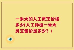 一米大的人工灵芝价格多少(人工种植一米大灵芝售价是多少？)