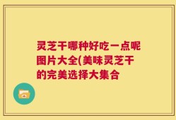 灵芝干哪种好吃一点呢图片大全(美味灵芝干的完美选择大集合