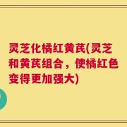 灵芝化橘红黄芪(灵芝和黄芪组合，使橘红色变得更加强大)