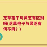 芝草孢子与灵芝有区别吗(芝草孢子与灵芝有何不同？)