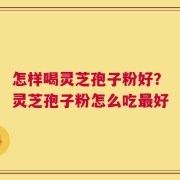 怎样喝灵芝孢子粉好？灵芝孢子粉怎么吃最好