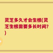 灵芝多久才会生根(灵芝生根需要多长时间？)