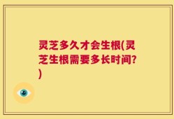 灵芝多久才会生根(灵芝生根需要多长时间？)
