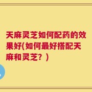 天麻灵芝如何配药的效果好(如何最好搭配天麻和灵芝？)