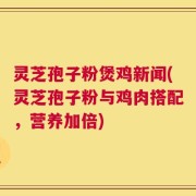 灵芝孢子粉煲鸡新闻(灵芝孢子粉与鸡肉搭配，营养加倍)