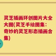 灵芝插画环创图片大全大图(灵芝手绘图集：奇妙的灵芝形态插画合集)
