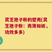 灵芝孢子粉的壁壳(灵芝孢子粉：壳薄如纸，功效多多)