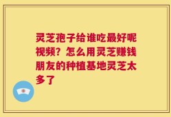 灵芝孢子给谁吃最好呢视频？怎么用灵芝赚钱朋友的种植基地灵芝太多了