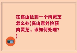 在高山捡到一个肉灵芝怎么办(高山意外捡获肉灵芝，该如何处理？)