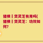 猪横脷煲灵芝有用吗(猪横脷煲灵芝：功效如何？