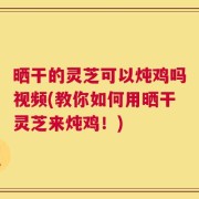 晒干的灵芝可以炖鸡吗视频(教你如何用晒干灵芝来炖鸡！)