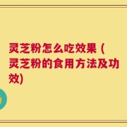灵芝粉怎么吃效果 (灵芝粉的食用方法及功效)