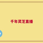千年灵芝直播