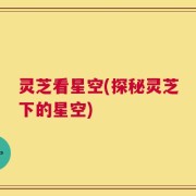 灵芝看星空(探秘灵芝下的星空)