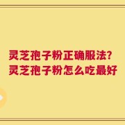 灵芝孢子粉正确服法？灵芝孢子粉怎么吃最好