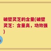 破壁灵芝的含量(破壁灵芝：含量高，功效强)