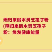 燕归来椴木灵芝孢子粉(燕归来椴木灵芝孢子粉：焕发健康能量