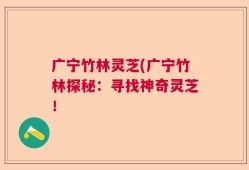 广宁竹林灵芝(广宁竹林探秘：寻找神奇灵芝！