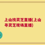 上山找灵芝直播(上山寻灵芝现场直播)